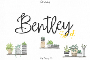 Bentley Font Review: A Brush Script for Campaign Visuals