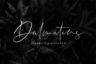 Dalmatins Font: Elegant Typography for Editorial Design