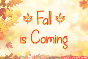 Fall is Coming Font Review: A Sweet Handwritten Touch for Year-Round Branding