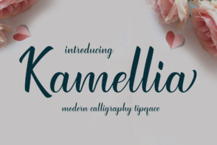Kamellia: A Modern Script Font for Elegant Campaign Design