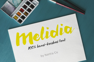 Melidia Font: Testing a Bold Brush Typeface for Branding