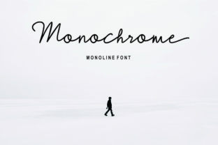 Monochrome Font Review: Elevating Campaign Visuals