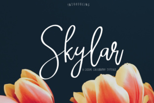 Skylar Font Review: Versatile Script for Campaigns