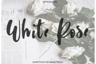 White Rose Font Review for Campaign Design